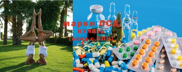 спиды Новодвинск