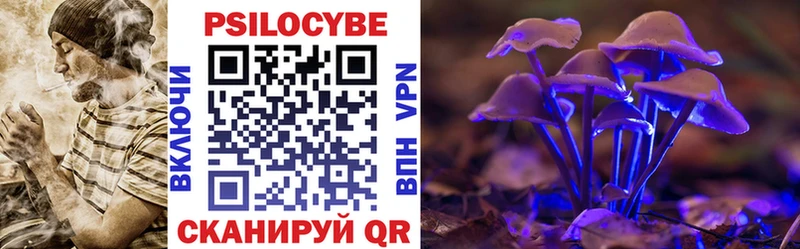 Псилоцибиновые грибы Cubensis Катав-Ивановск
